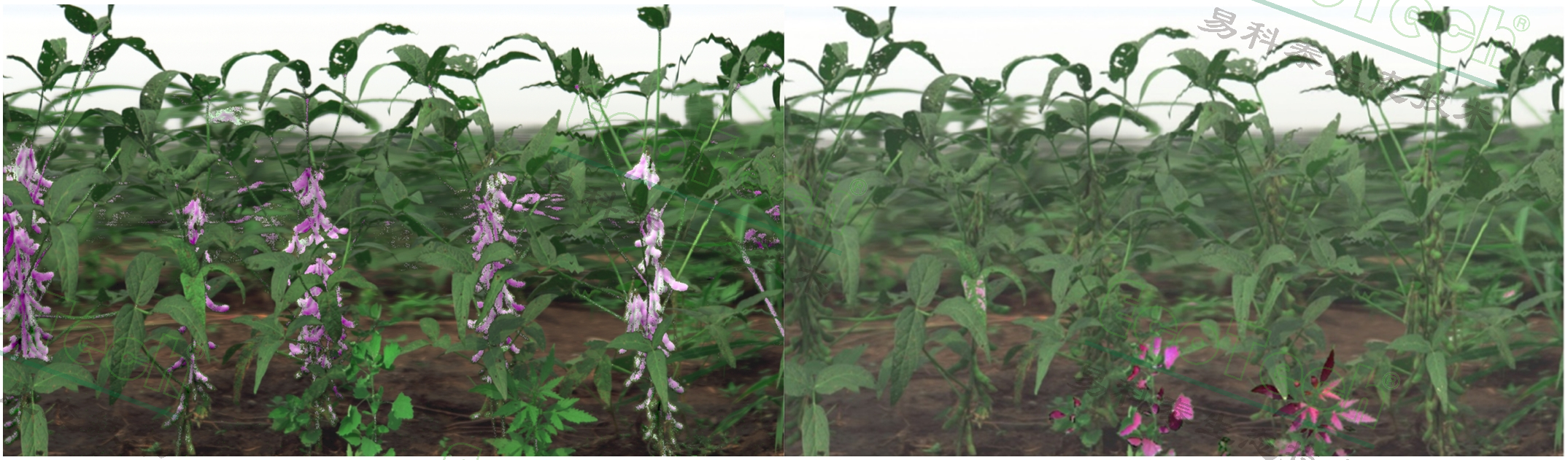 77779193永利官网(集团)有限公司