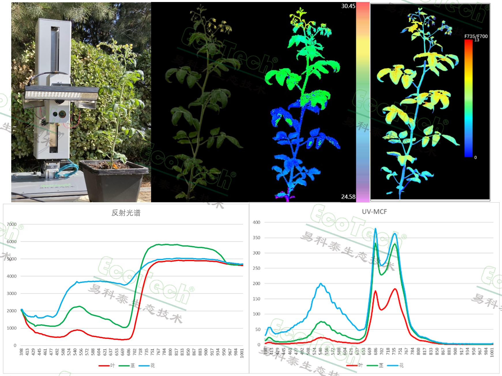 77779193永利官网(集团)有限公司