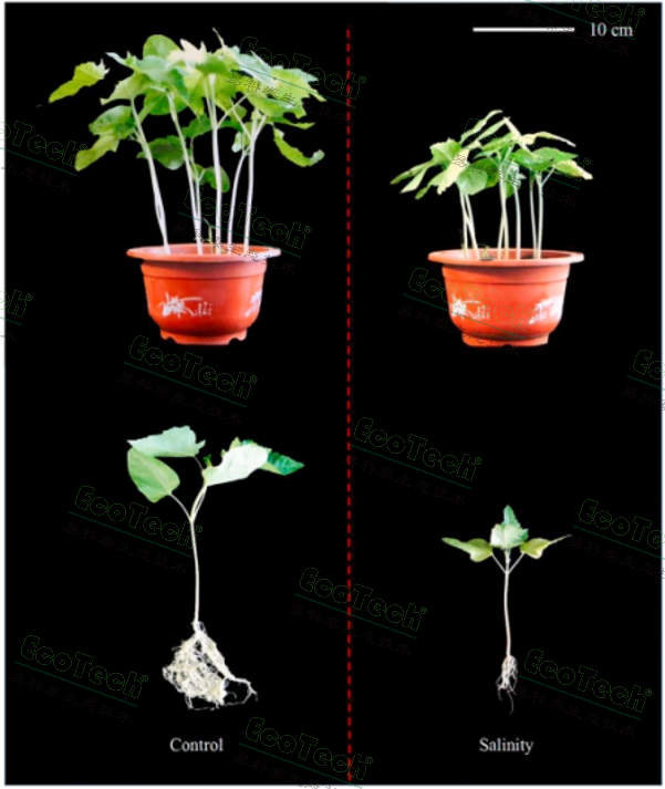 77779193永利官网(集团)有限公司
