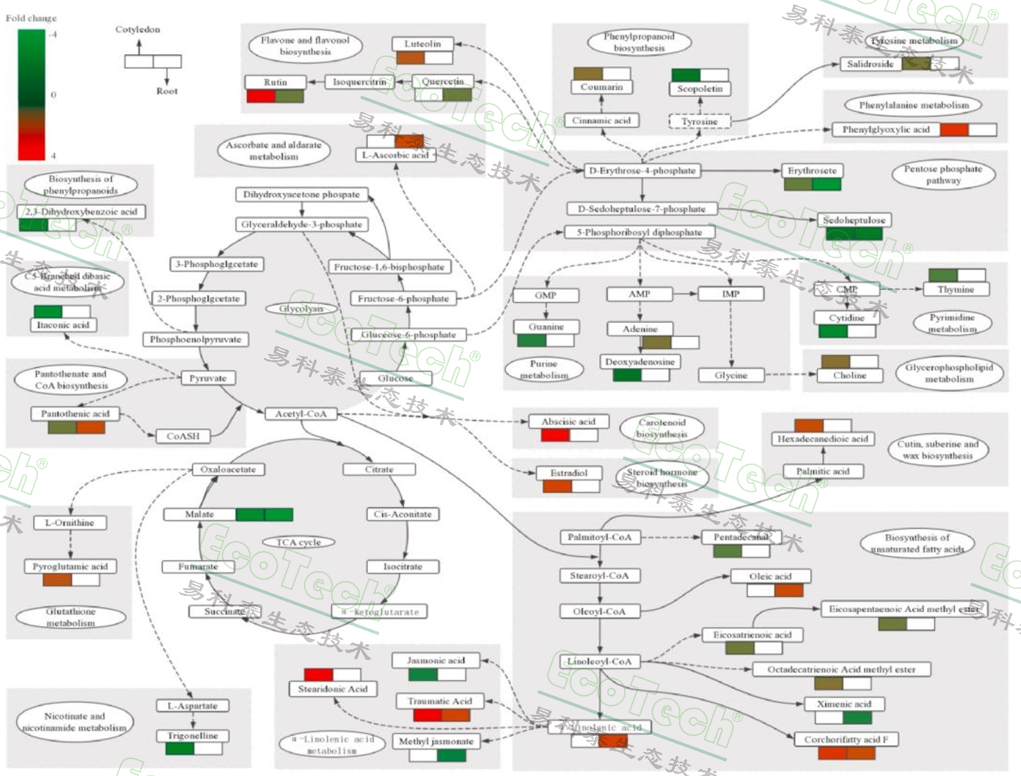 77779193永利官网(集团)有限公司