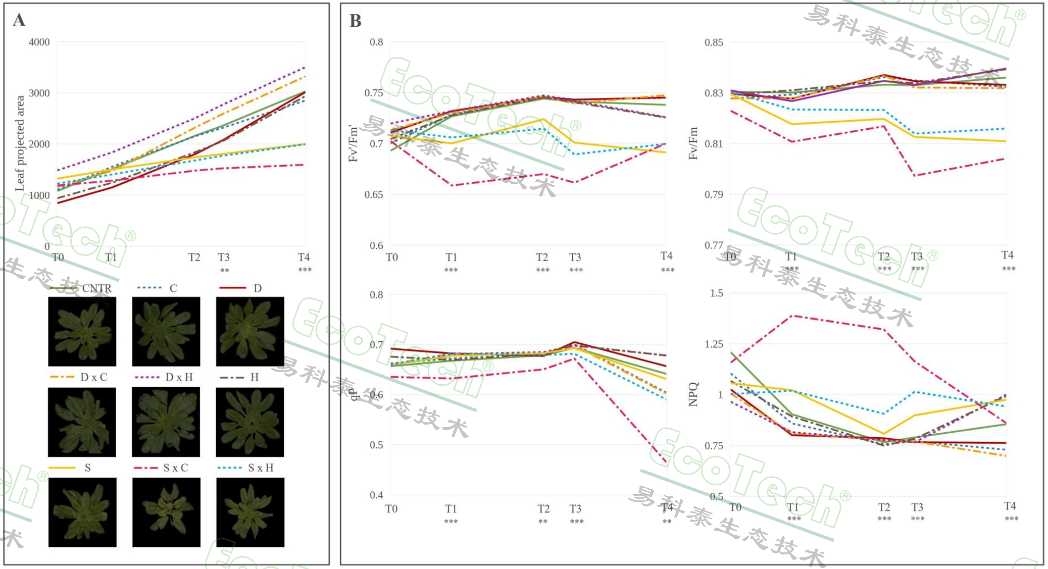 77779193永利官网(集团)有限公司