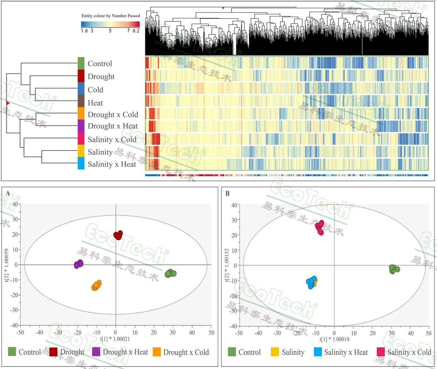 77779193永利官网(集团)有限公司