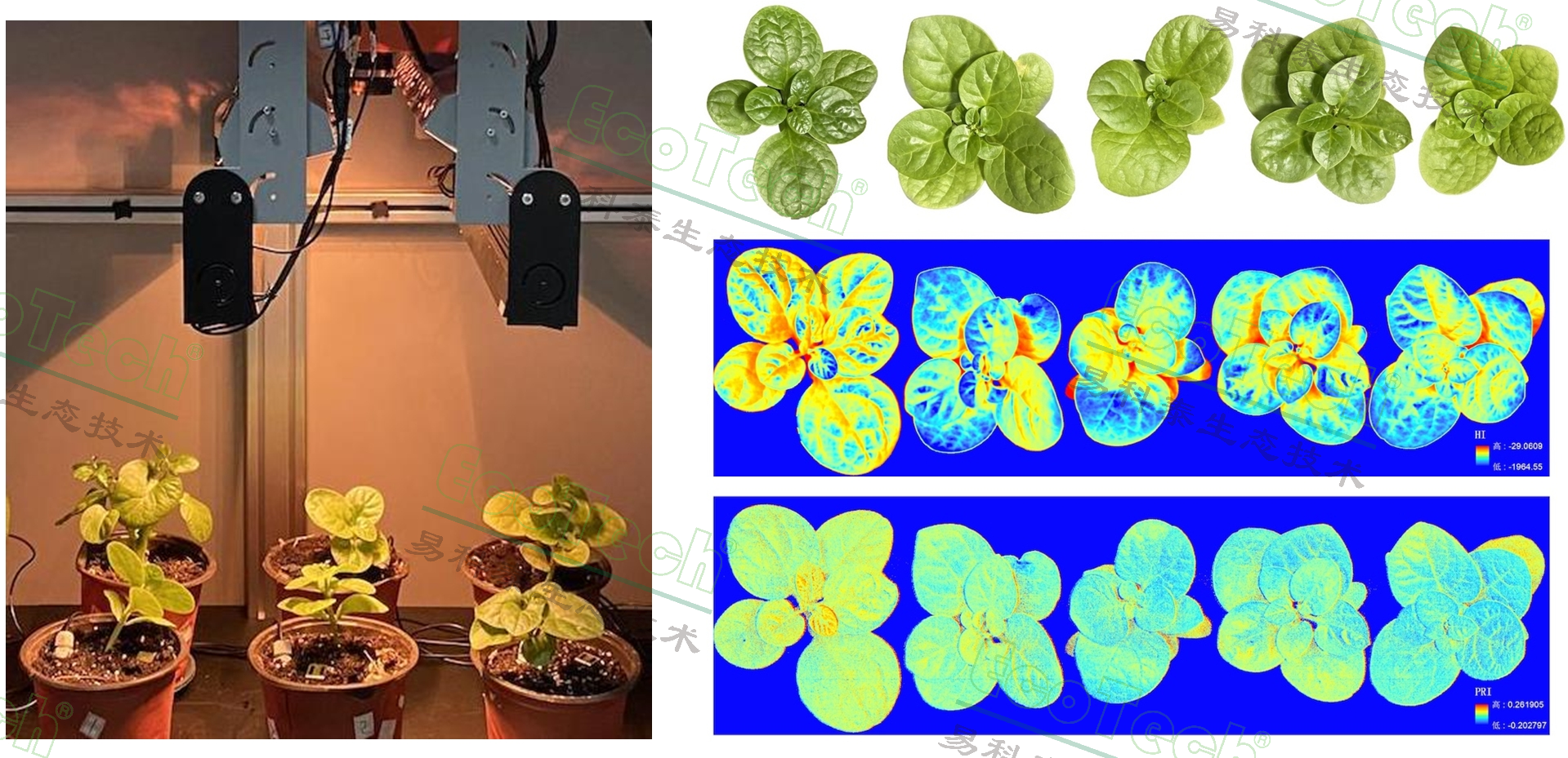 77779193永利官网(集团)有限公司