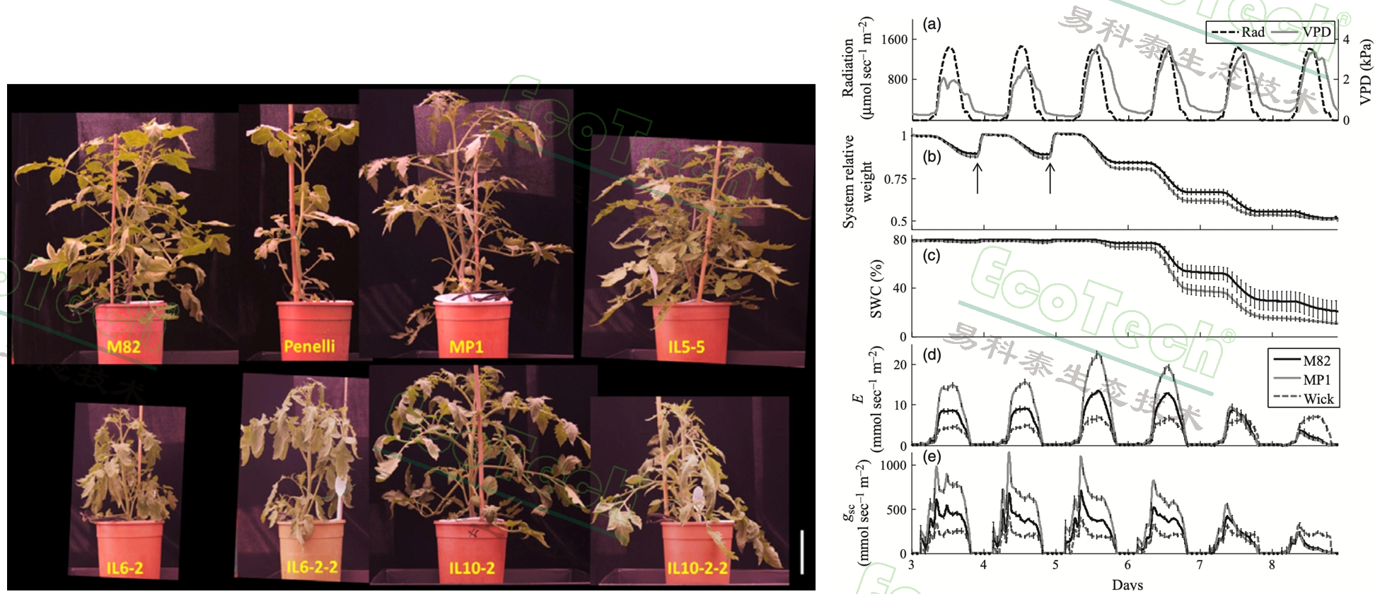 77779193永利官网(集团)有限公司