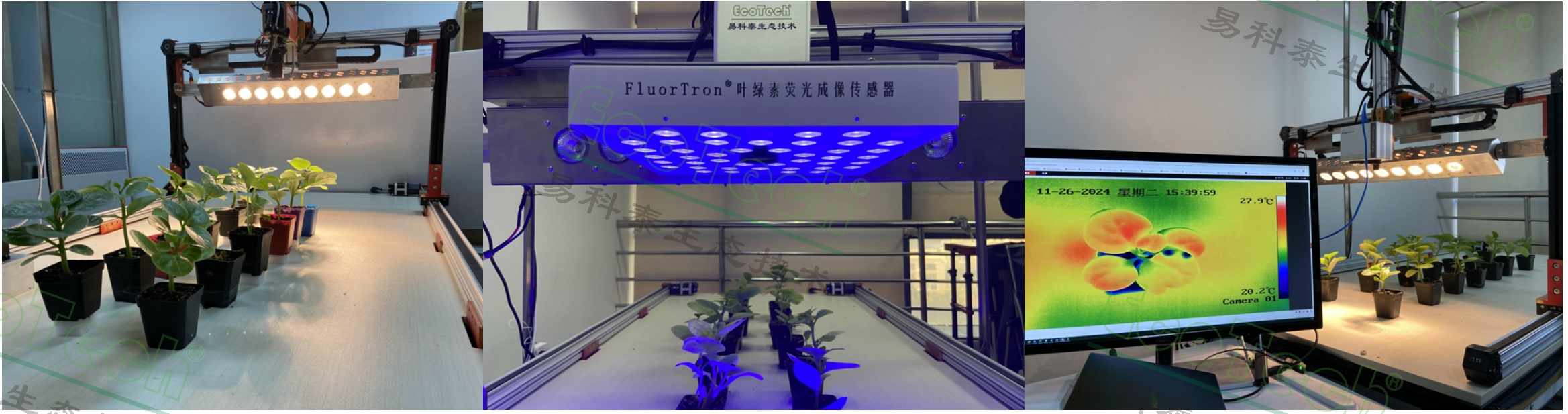 77779193永利官网(集团)有限公司