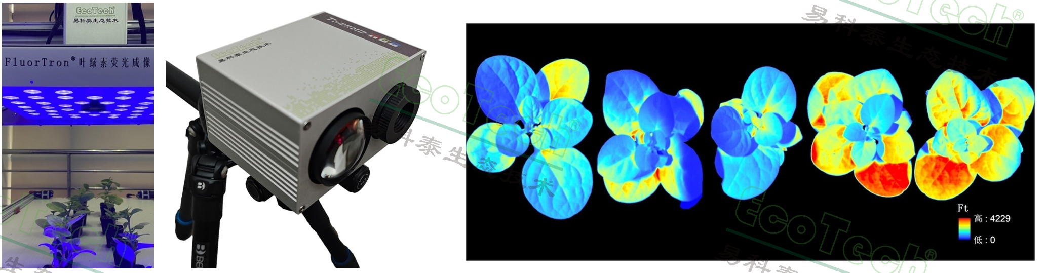 77779193永利官网(集团)有限公司