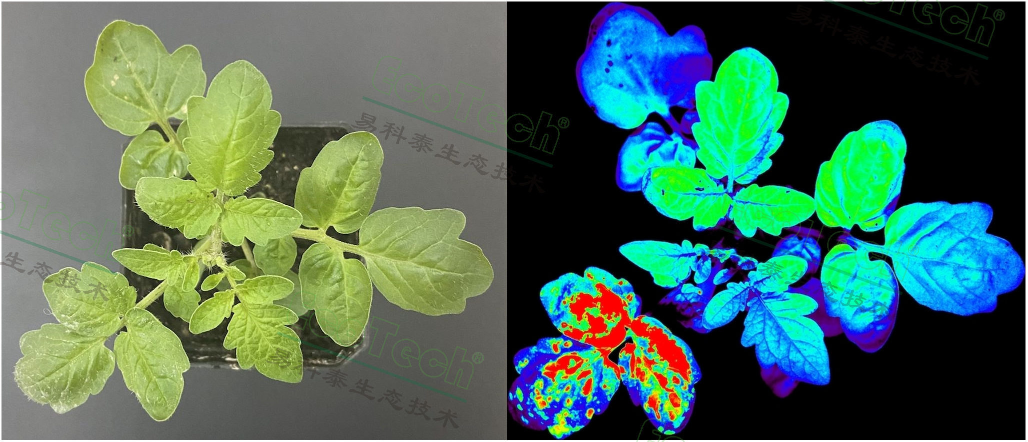 77779193永利官网(集团)有限公司