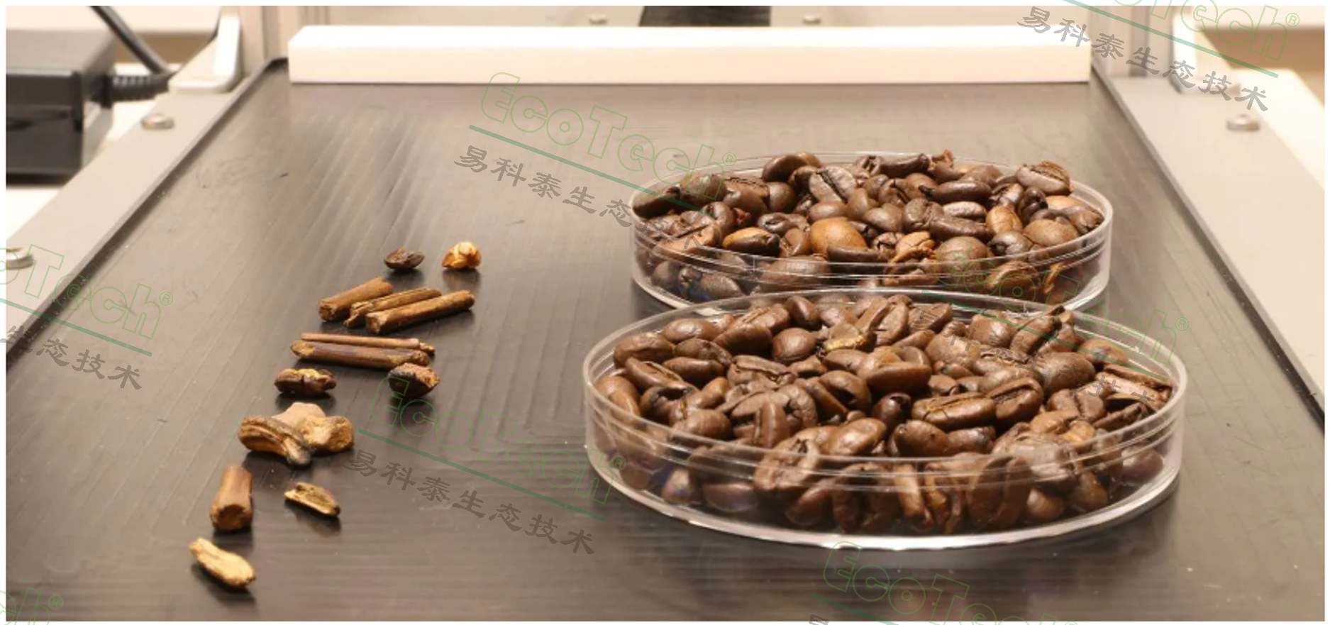 77779193永利官网(集团)有限公司