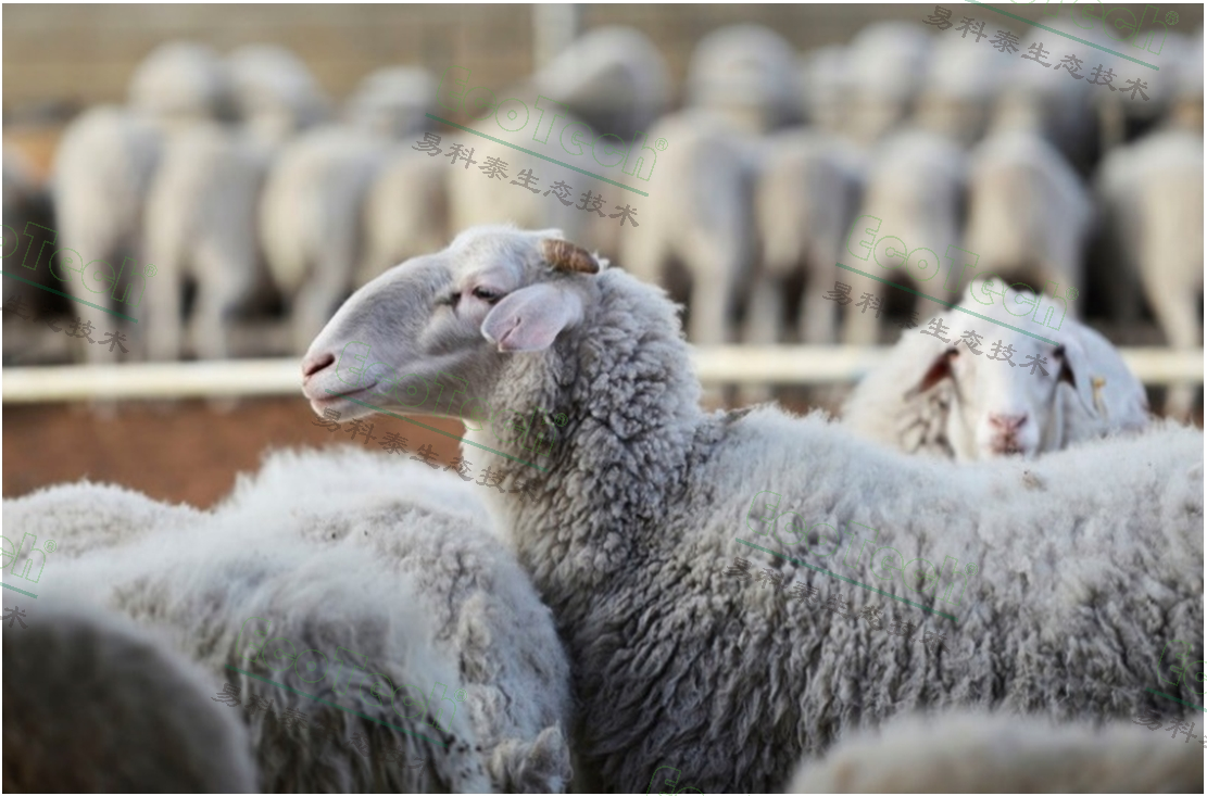 77779193永利官网(集团)有限公司