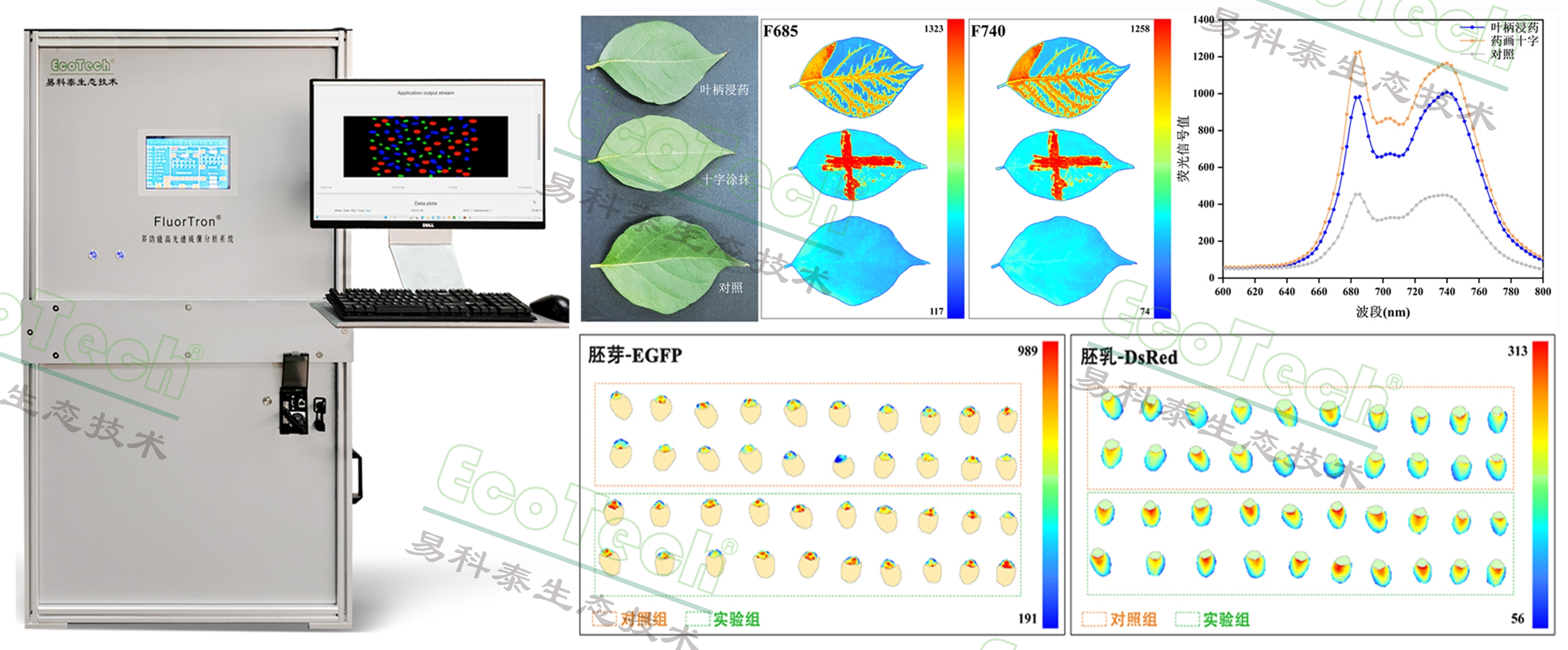 77779193永利官网(集团)有限公司