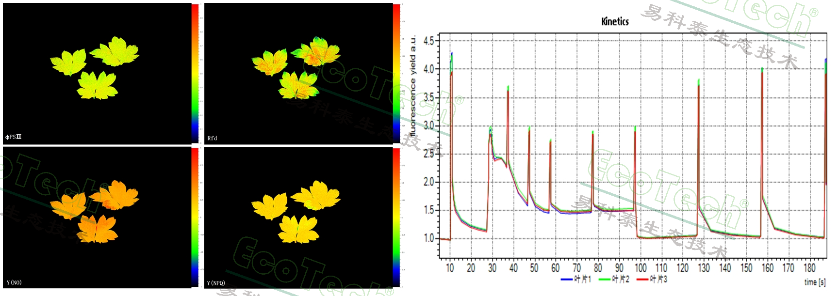77779193永利官网(集团)有限公司