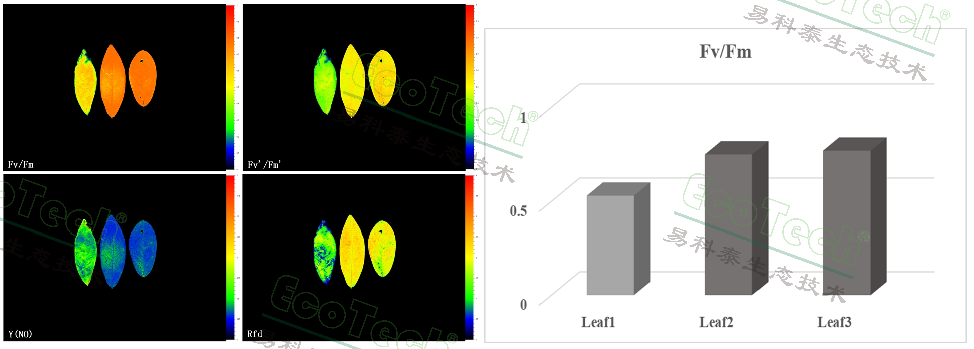 77779193永利官网(集团)有限公司