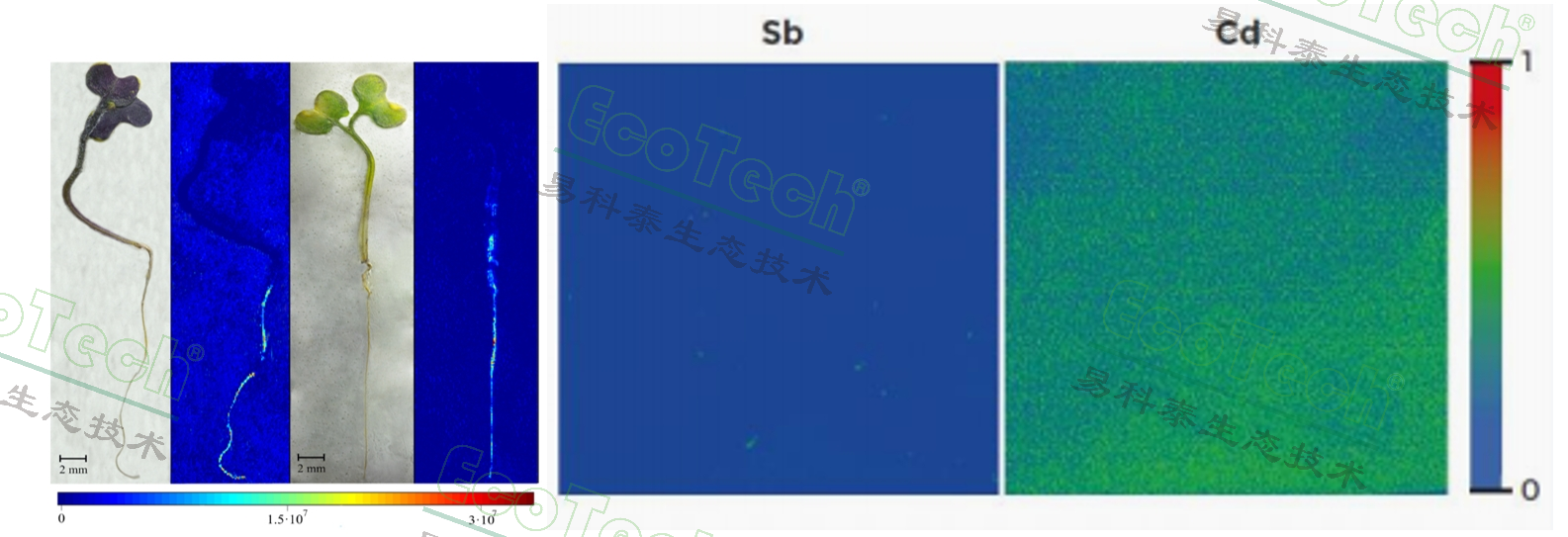 77779193永利官网(集团)有限公司