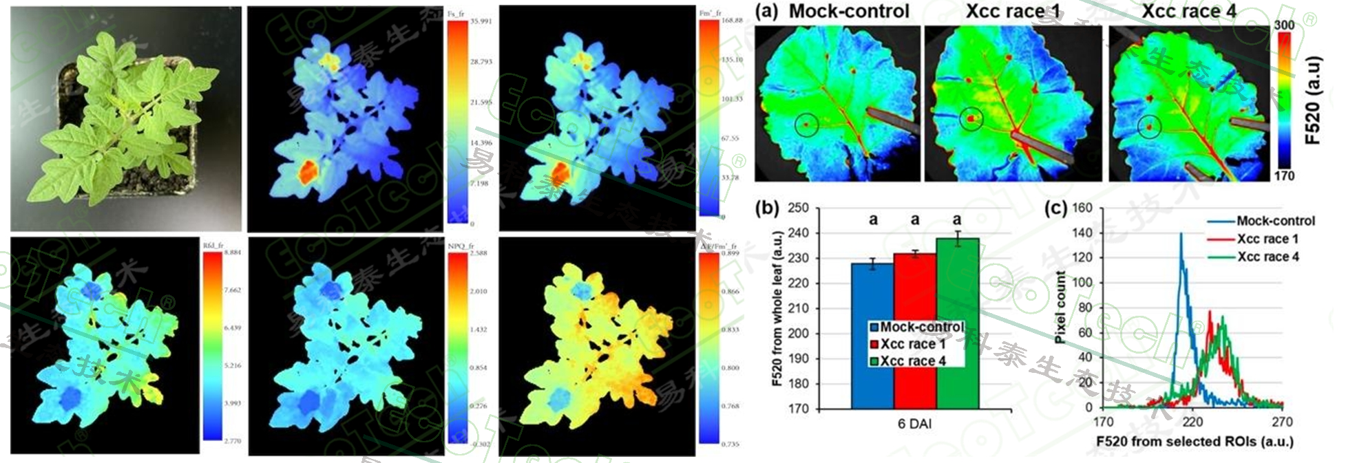77779193永利官网(集团)有限公司