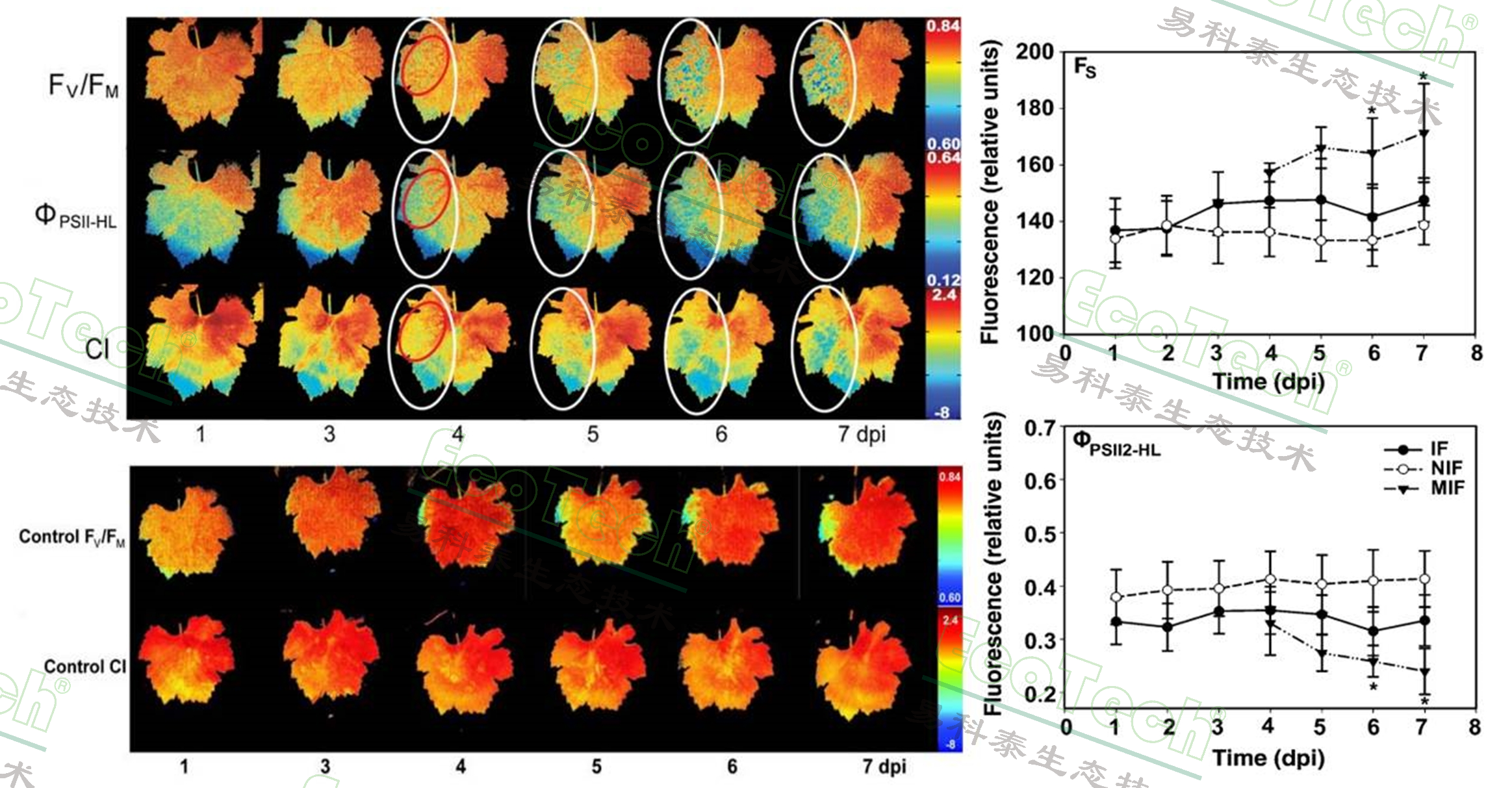 77779193永利官网(集团)有限公司