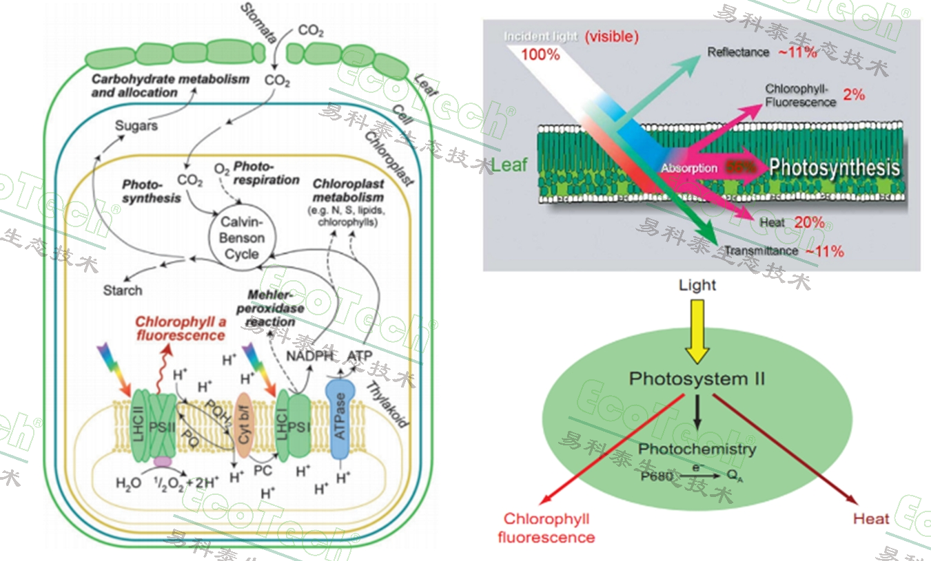 77779193永利官网(集团)有限公司