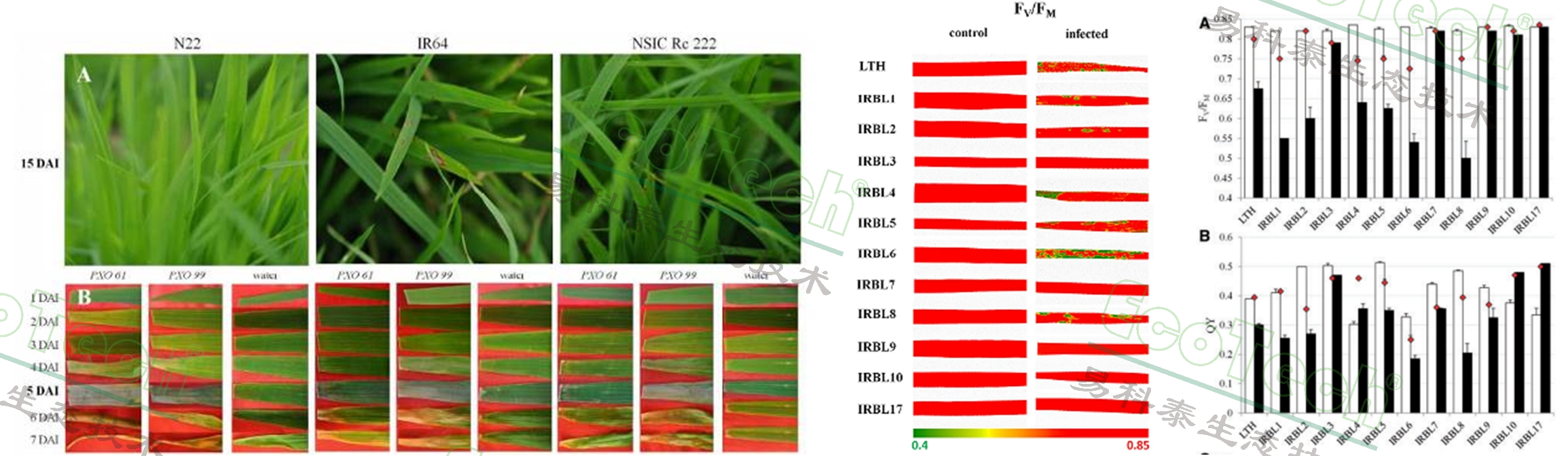 77779193永利官网(集团)有限公司