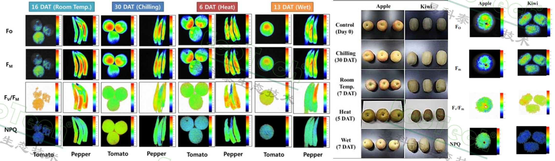 77779193永利官网(集团)有限公司