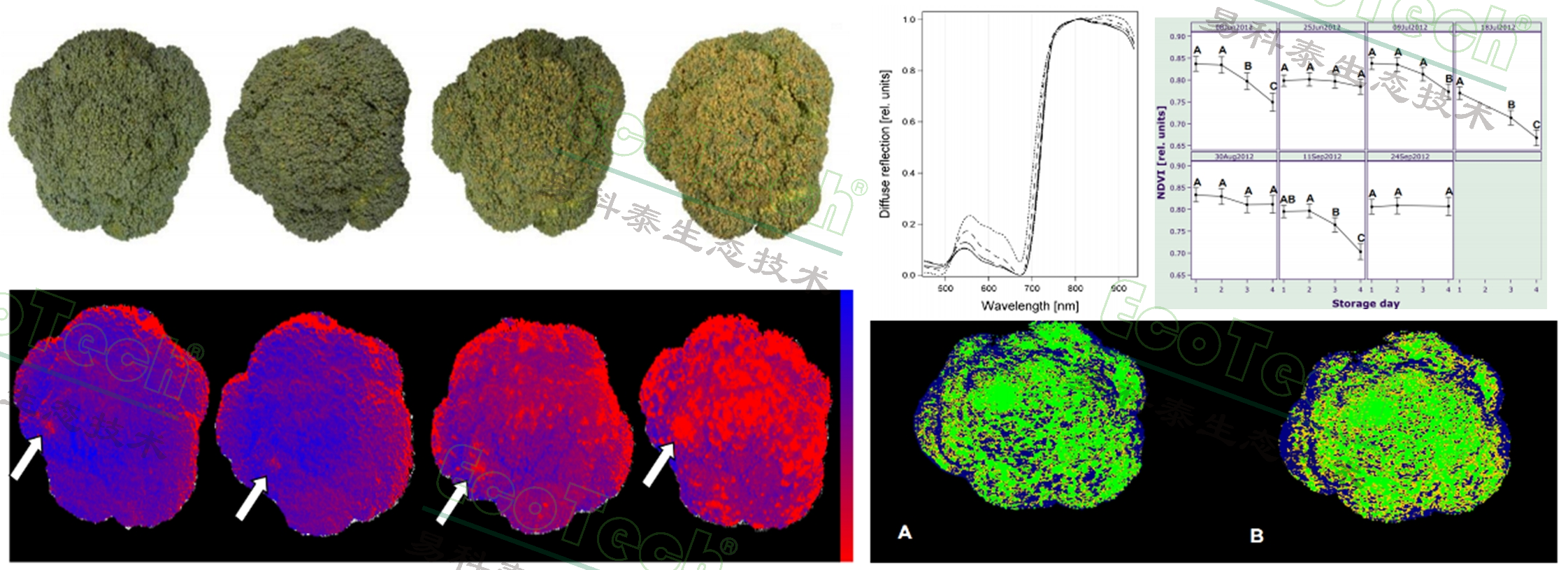 77779193永利官网(集团)有限公司