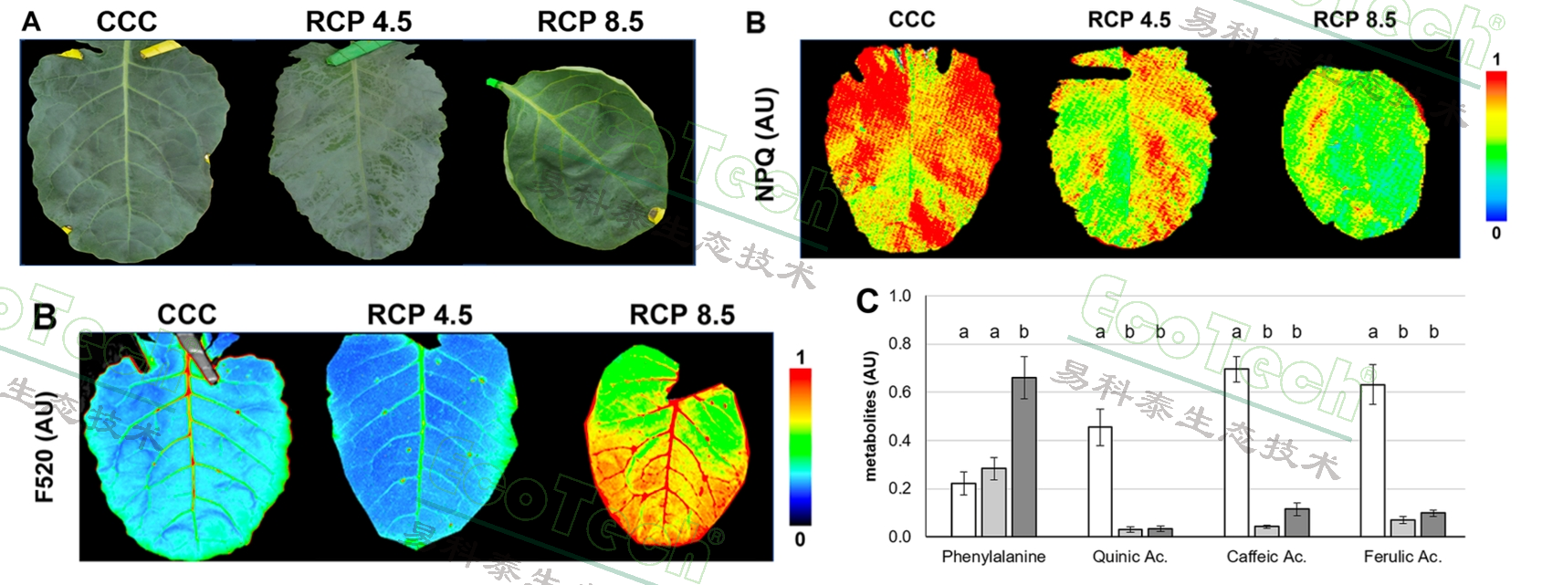 77779193永利官网(集团)有限公司