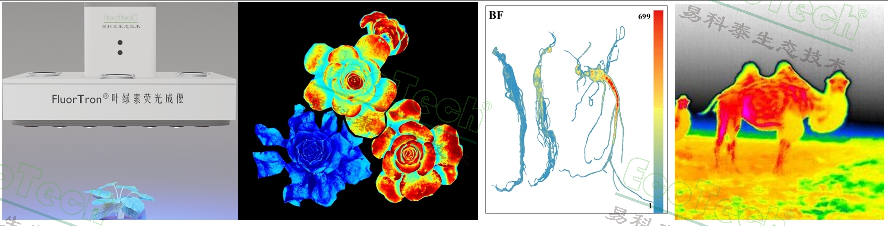 77779193永利官网(集团)有限公司