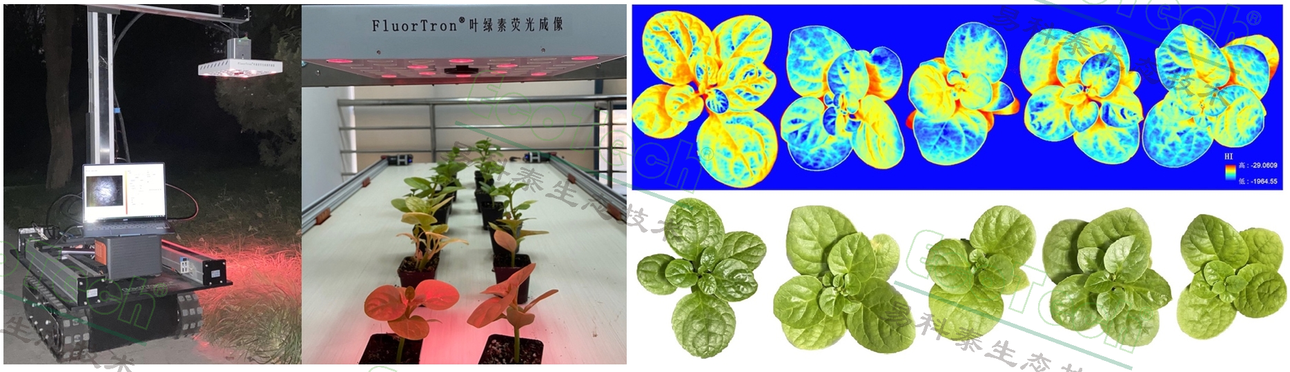 77779193永利官网(集团)有限公司