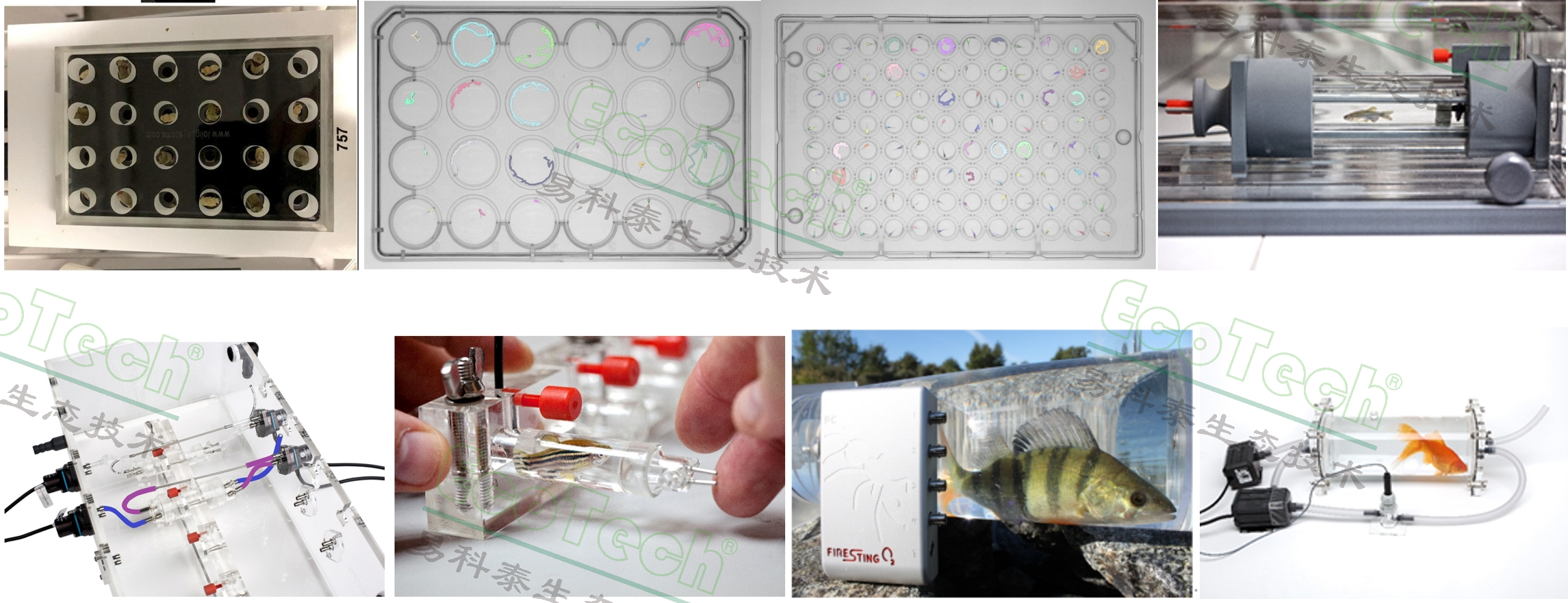 77779193永利官网(集团)有限公司