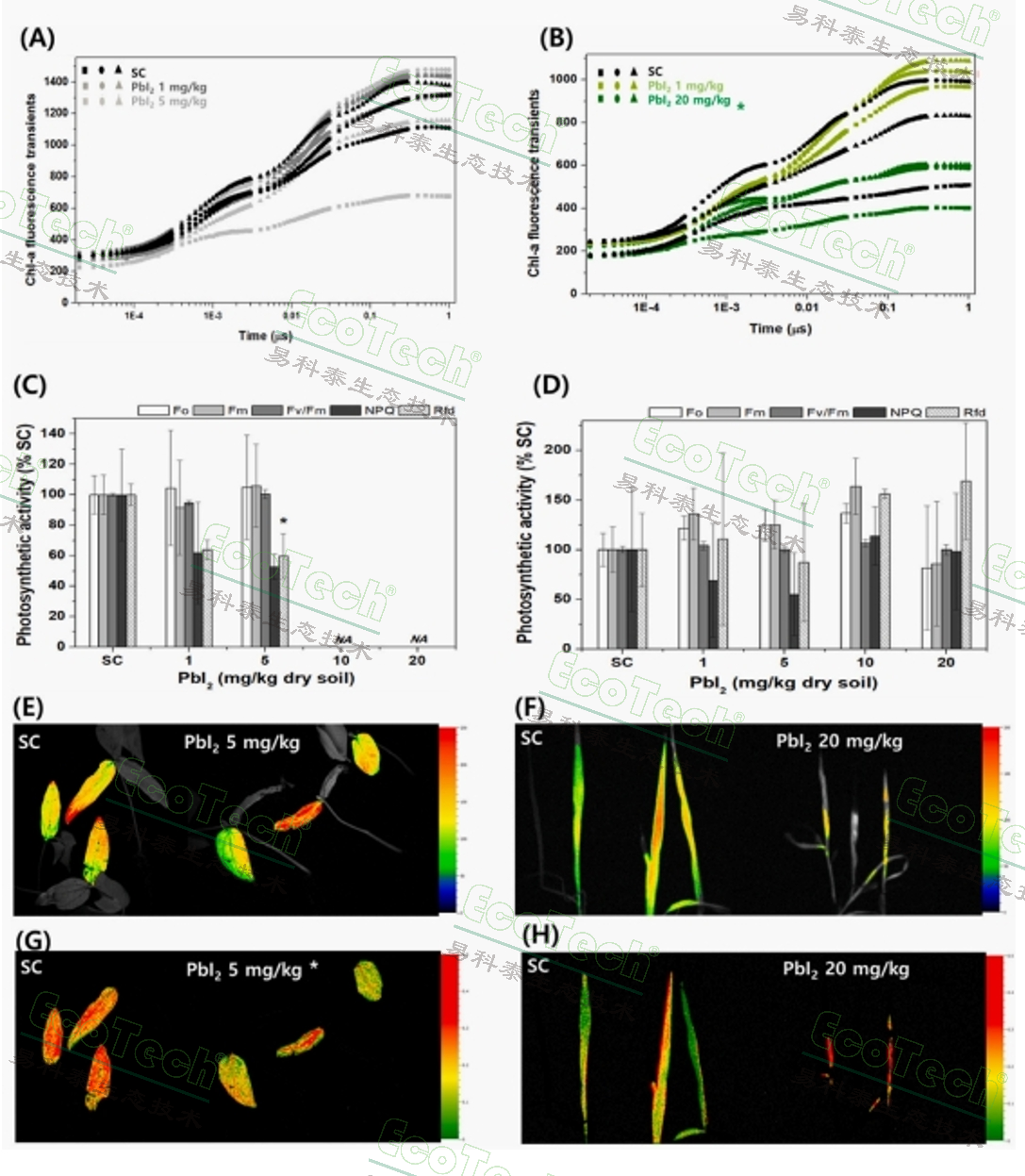 77779193永利官网(集团)有限公司