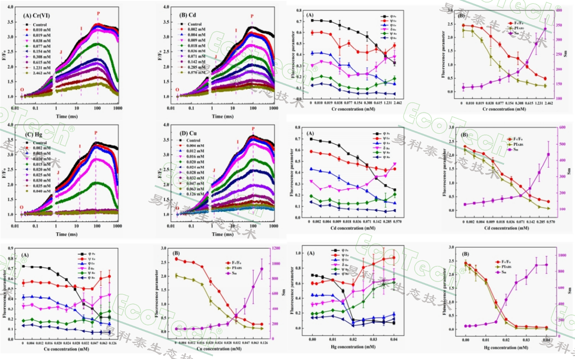 77779193永利官网(集团)有限公司