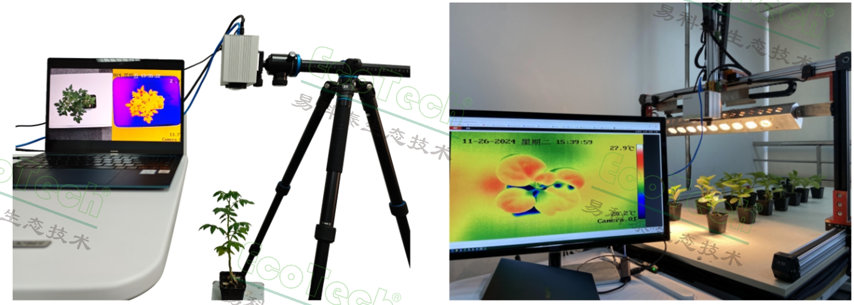 77779193永利官网(集团)有限公司
