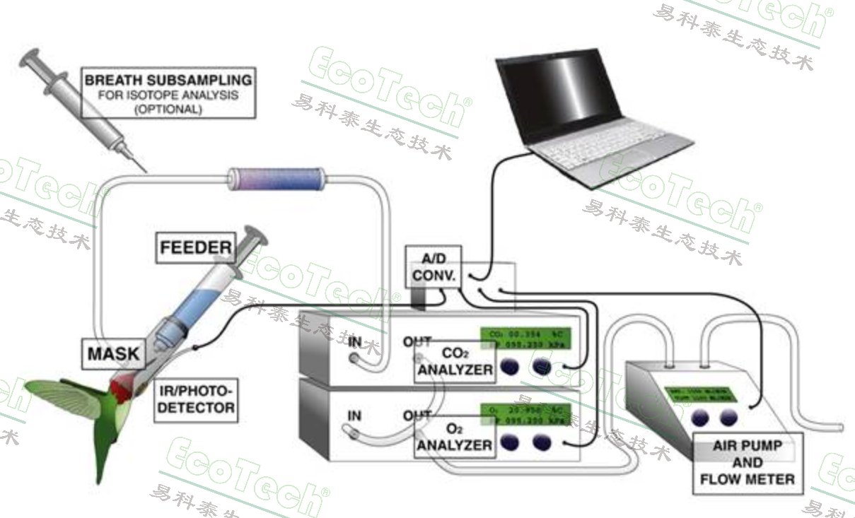 77779193永利官网(集团)有限公司