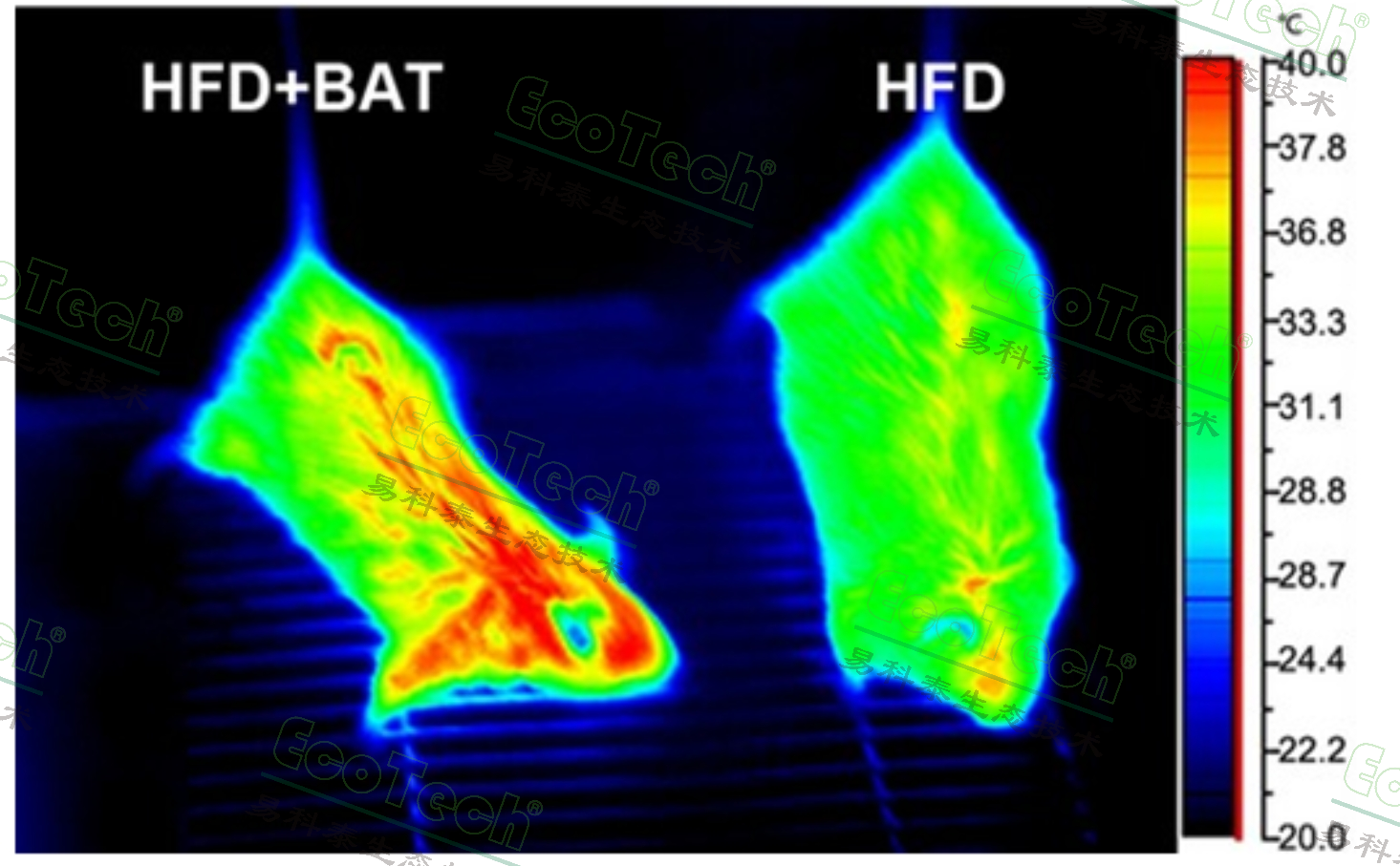 77779193永利官网(集团)有限公司