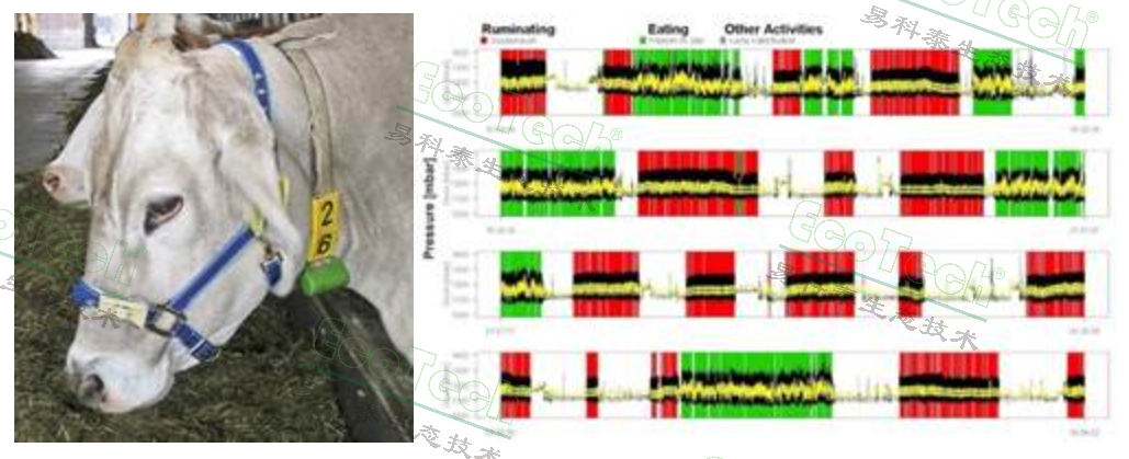 77779193永利官网(集团)有限公司