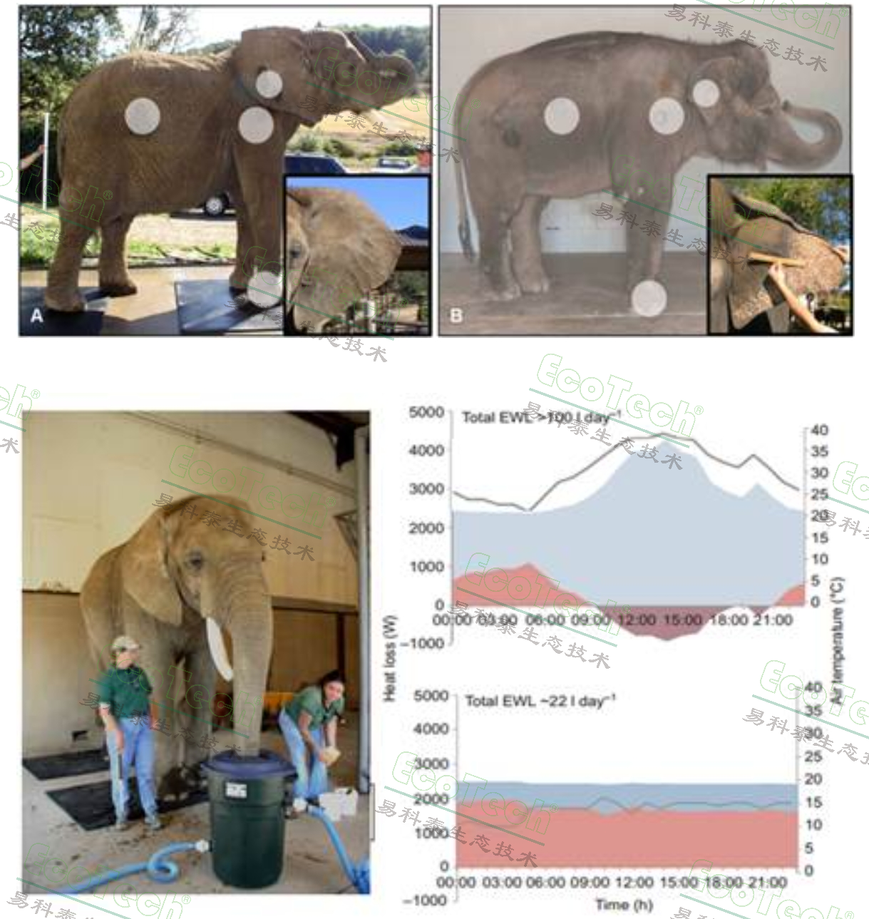 77779193永利官网(集团)有限公司
