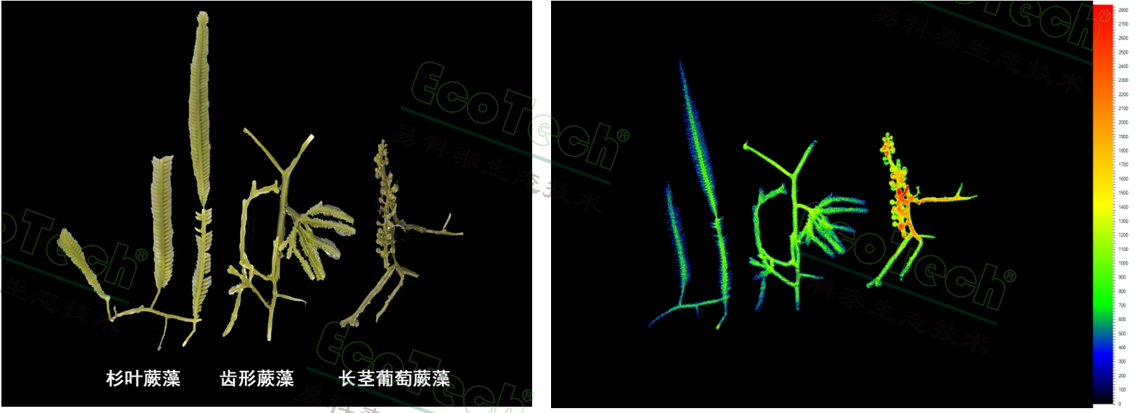 77779193永利官网(集团)有限公司