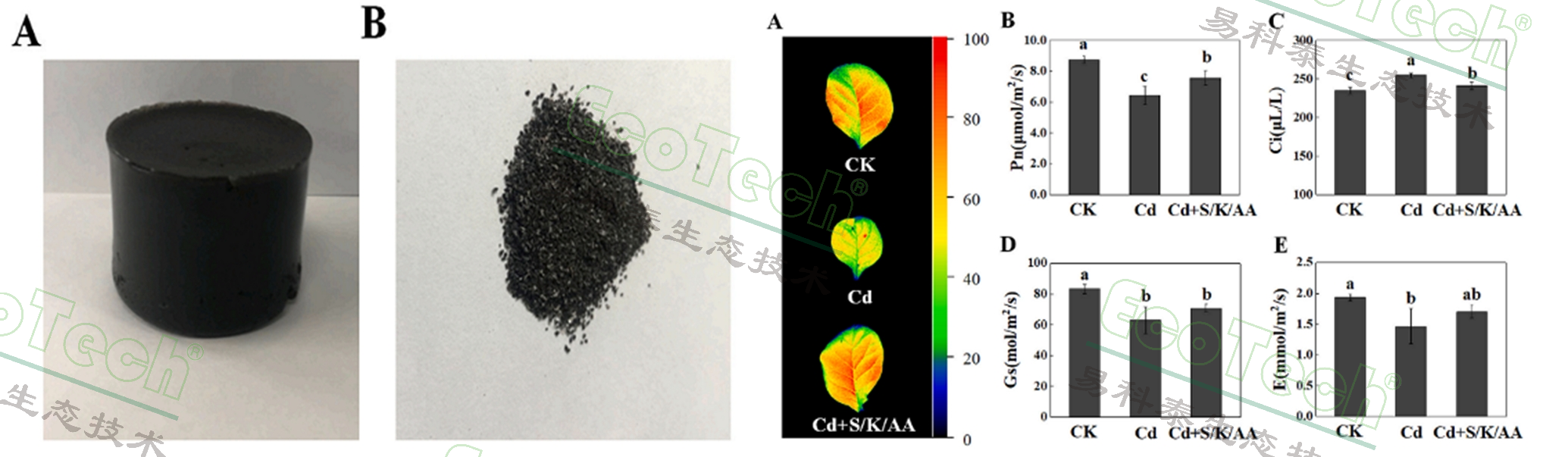 77779193永利官网(集团)有限公司