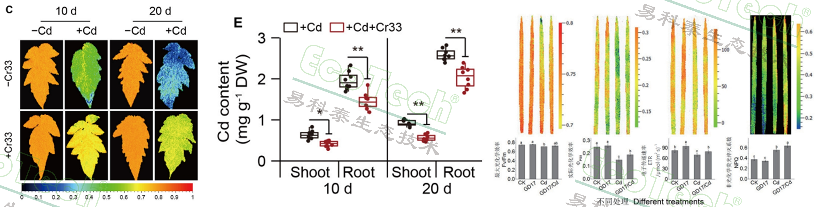 77779193永利官网(集团)有限公司