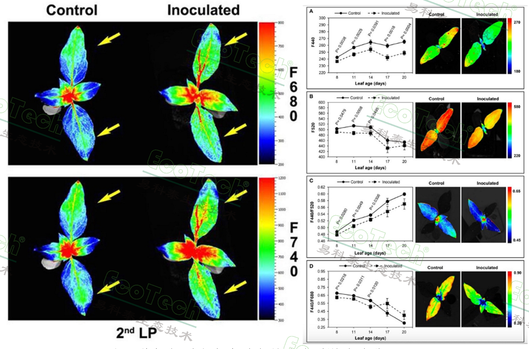 77779193永利官网(集团)有限公司