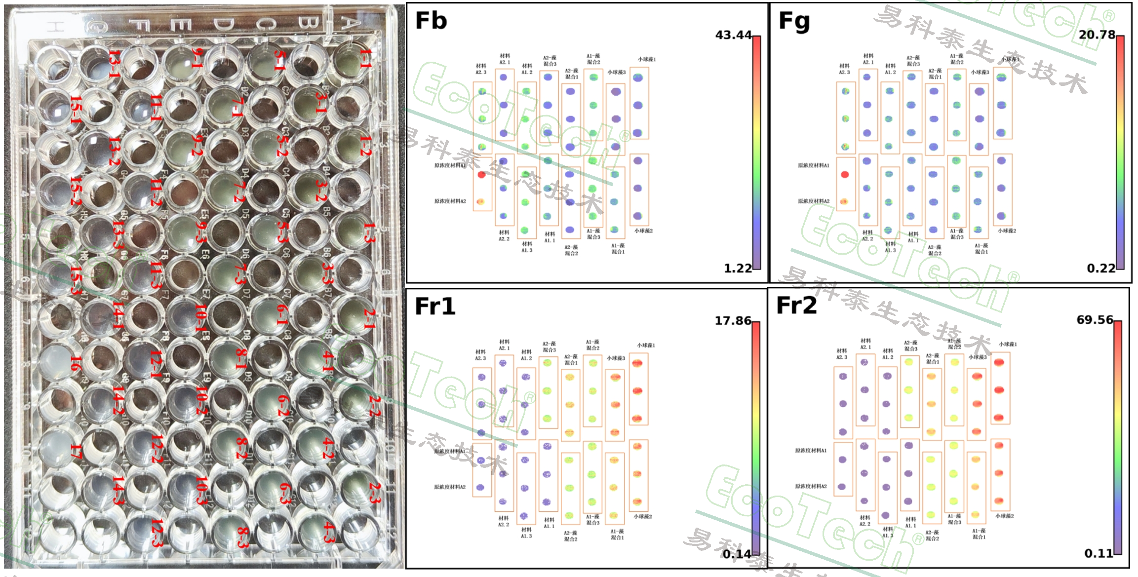 77779193永利官网(集团)有限公司