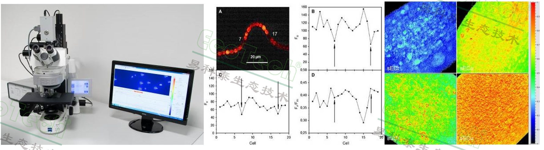 77779193永利官网(集团)有限公司
