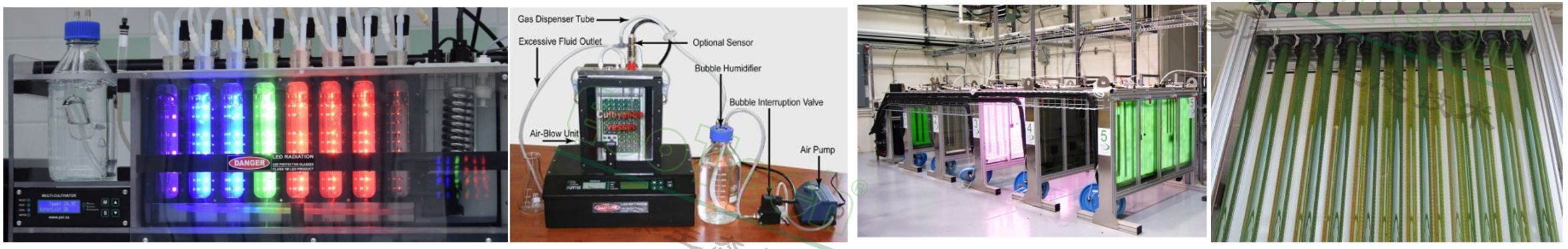 77779193永利官网(集团)有限公司