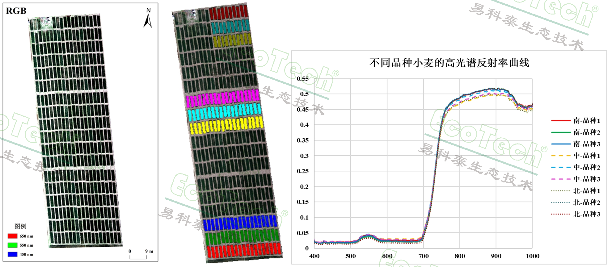 77779193永利官网(集团)有限公司