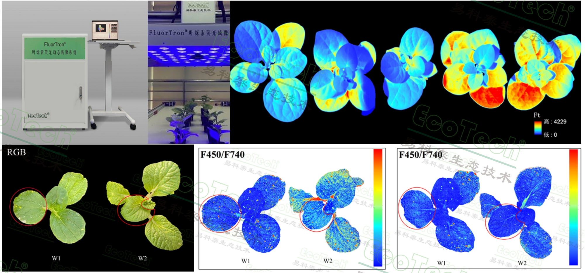 77779193永利官网(集团)有限公司