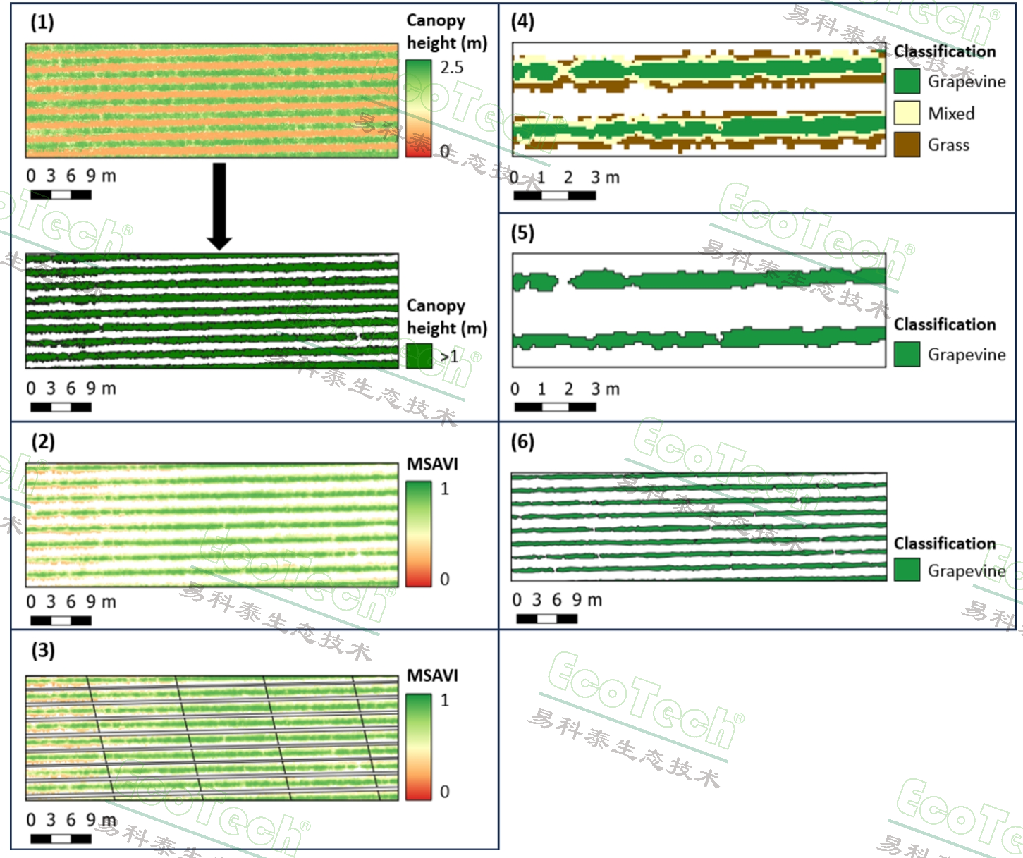 77779193永利官网(集团)有限公司