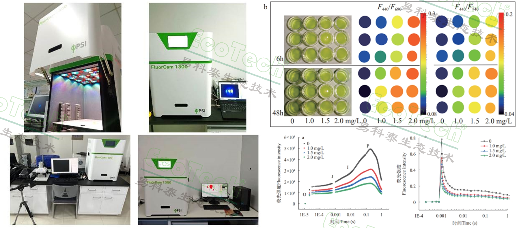 77779193永利官网(集团)有限公司