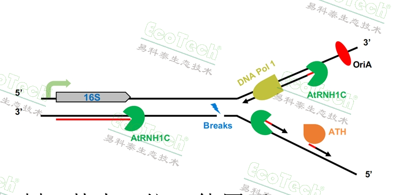 77779193永利官网(集团)有限公司