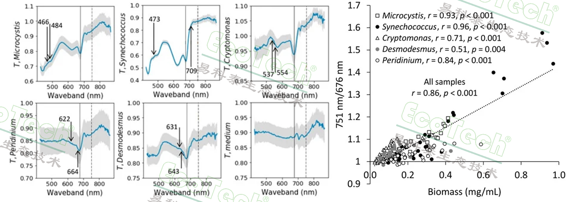 77779193永利官网(集团)有限公司