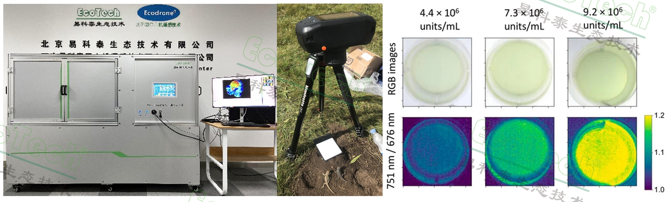77779193永利官网(集团)有限公司