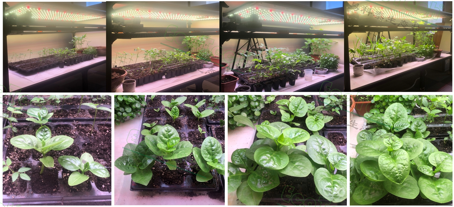 77779193永利官网(集团)有限公司