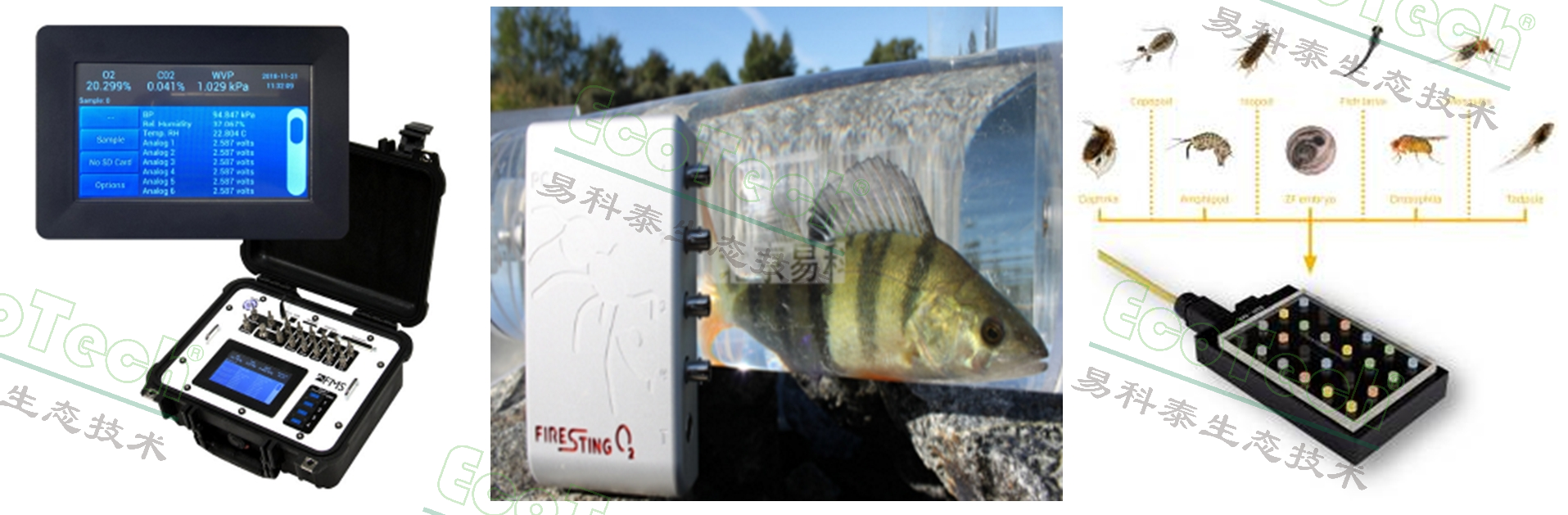 77779193永利官网(集团)有限公司